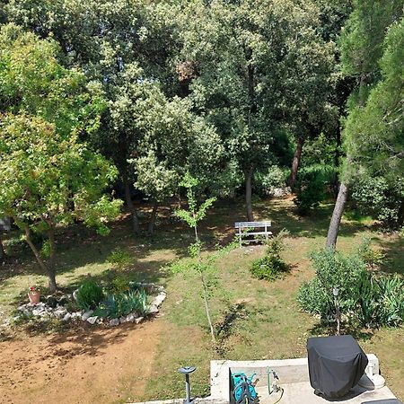 Marta Διαμέρισμα Ρόβινι Εξωτερικό φωτογραφία